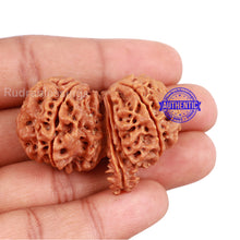 Load image into Gallery viewer, Gaurishanker Rudraksha with Ganesha - Bead No. 74