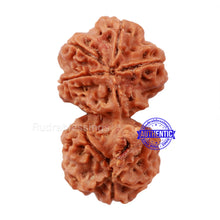 Load image into Gallery viewer, Gaurishanker Rudraksha with Ganesha - Bead No. 74