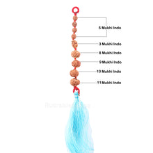 Load image into Gallery viewer, Rudraksha Hanging for Protection - Indonesian
