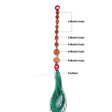 Load image into Gallery viewer, Rudraksha Hanging for Confidence - Indonesian