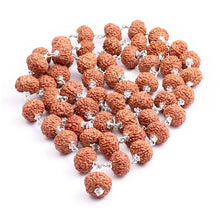 Load image into Gallery viewer, 10 Mukhi Indonesian Rudraksha Mala - 32+1 (Pure Silver)