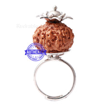 Load image into Gallery viewer, 7 Mukhi Indonesian Rudraksha Ring - 14