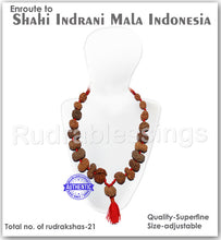 Load image into Gallery viewer, Enroute to Rudraksha Shahi Indrani Mala from Indonesia - 2