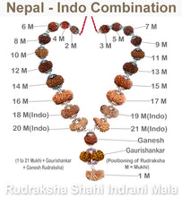 Load image into Gallery viewer, Rudraksha Shahi Indrani Mala Indo Nepal Combo