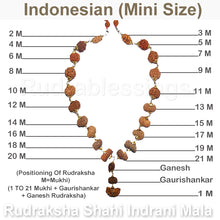 Load image into Gallery viewer, Rudraksha Shahi Indrani Mala (Indonesian Mini / Tiny size beads)