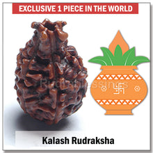 Load image into Gallery viewer, Kalash Rudraksha
