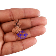 Load image into Gallery viewer, Trijudi Rudraksha from Indonesia Bead No. 45