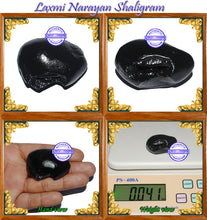 Load image into Gallery viewer, Laxmi Narayan Shaligram - 1