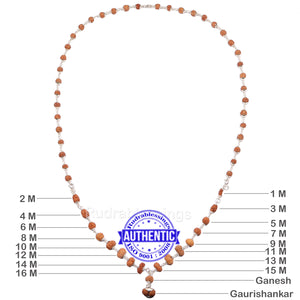 Rudraksha MahaSidhShakti Mala from Indonesia (Std size beads) - 1 (Pure Silver)