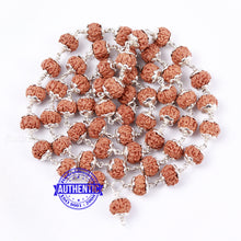 Load image into Gallery viewer, 5 Mukhi Chikna Chapta Rudraksha Mala - 54+1 (Pure Silver)