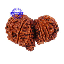 Load image into Gallery viewer, Mini Trijudi - Bead No. 26