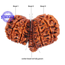 Load image into Gallery viewer, Mini Trijudi - Bead No. 26