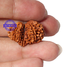 Load image into Gallery viewer, Mini Trijudi - Bead No. 28