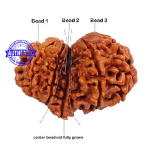 Load image into Gallery viewer, Mini Trijudi - Bead No. 28