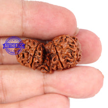 Load image into Gallery viewer, Mini Trijudi - Bead No. 29