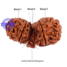 Load image into Gallery viewer, Mini Trijudi - Bead No. 29