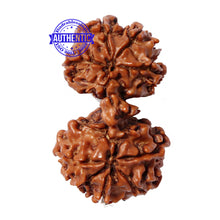 Load image into Gallery viewer, Mini Trijudi - Bead No. 29