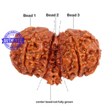 Load image into Gallery viewer, Mini Trijudi - Bead No. 30