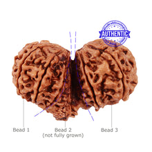 Load image into Gallery viewer, Mini Trijudi - Bead No. 34