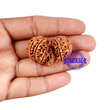 Load image into Gallery viewer, Mini Trijudi - Bead No. 35