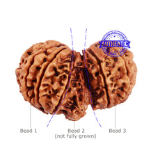 Load image into Gallery viewer, Mini Trijudi - Bead No. 35