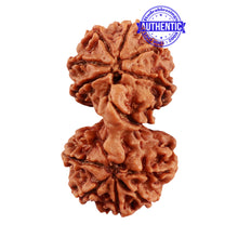 Load image into Gallery viewer, Mini Trijudi - Bead No. 36