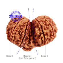 Load image into Gallery viewer, Mini Trijudi - Bead No. 36