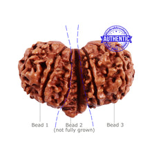 Load image into Gallery viewer, Mini Trijudi - Bead No. 38