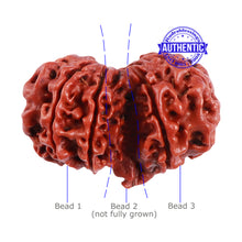 Load image into Gallery viewer, Mini Trijudi - Bead No. 39