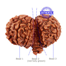 Load image into Gallery viewer, Mini Trijudi - Bead No. 42