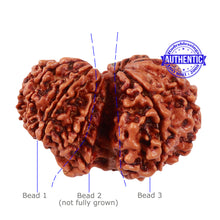 Load image into Gallery viewer, Mini Trijudi - Bead No. 43