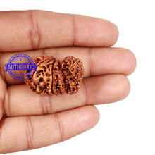 Load image into Gallery viewer, Mini Trijudi - Bead No. 44