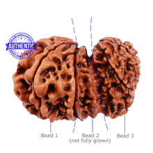 Load image into Gallery viewer, Mini Trijudi - Bead No. 44