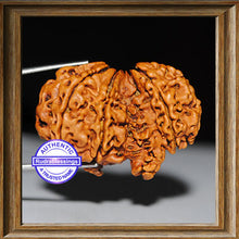 Load image into Gallery viewer, Mini Trijudi - Bead No. 1