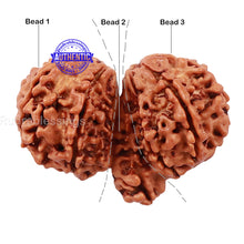 Load image into Gallery viewer, Mini Trijudi - Bead No. 31