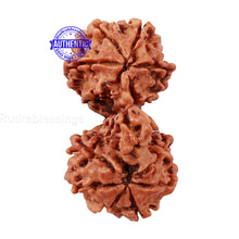 Load image into Gallery viewer, Mini Trijudi - Bead No. 31