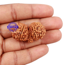 Load image into Gallery viewer, Mini Trijudi - Bead No. 32