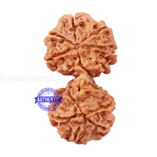 Load image into Gallery viewer, Mini Trijudi - Bead No. 32