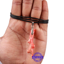 Load image into Gallery viewer, Real Coral / Moonga - 2