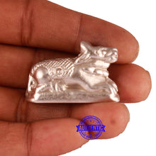 Load image into Gallery viewer, Parad / Mercury nandi - 75