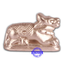 Load image into Gallery viewer, Parad / Mercury nandi - 75