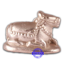 Load image into Gallery viewer, Parad / Mercury Nandi - 94