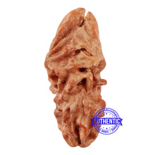 Load image into Gallery viewer, Non Mukhi Bead