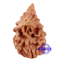 Load image into Gallery viewer, Non Mukhi Bead