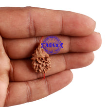 Load image into Gallery viewer, Non Mukhi Bead