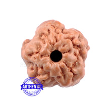 Load image into Gallery viewer, None Mukhi Rudraksha from Indonesia - Bead No. 3
