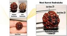 Load image into Gallery viewer, 5 Mukhi Rudraksha with 2 Om - 2