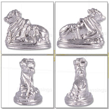 Load image into Gallery viewer, Parad / Mercury Nandi - 27