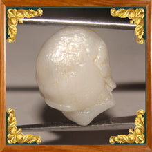 Load image into Gallery viewer, Real Pearl / Moti - 17