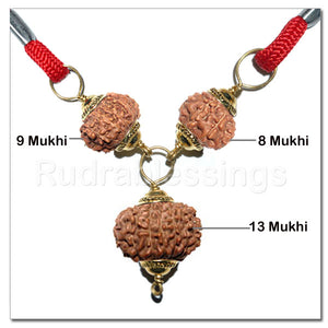 Rudraksha Combination for Knowledge and Creativity From Indonesia